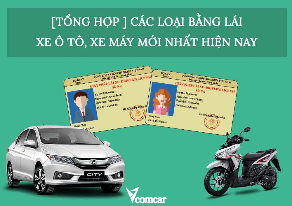 [TỔNG HỢP ] Các loại bằng lái xe ô tô, xe máy 